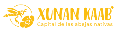 Xunan Kaab'